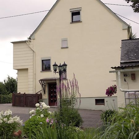 Ferienwohnung Sauer Hillscheid Exterior foto